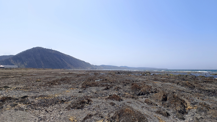 На сопке виден маяк Лопатина, при японцах он назывался Кеннуси.