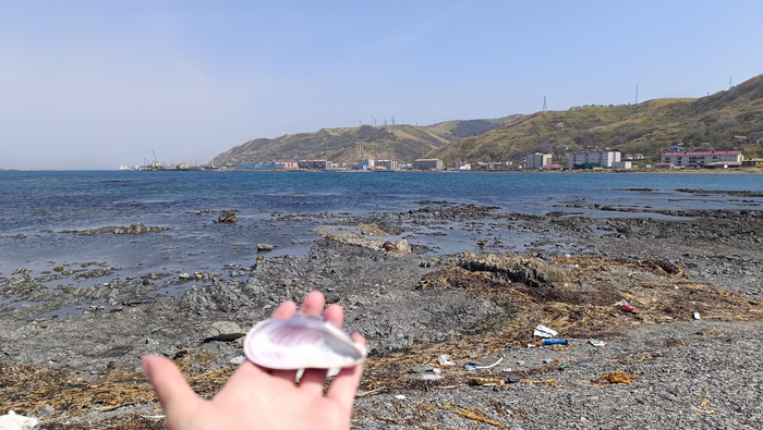 Фото с ракушкой на фоне моря — маст хэв.