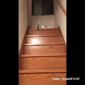   , , , 