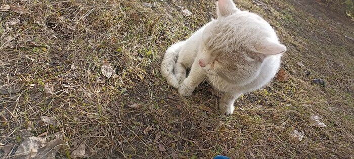 ����� ����� �����, ������� ������� ��� �� ����� � ����.