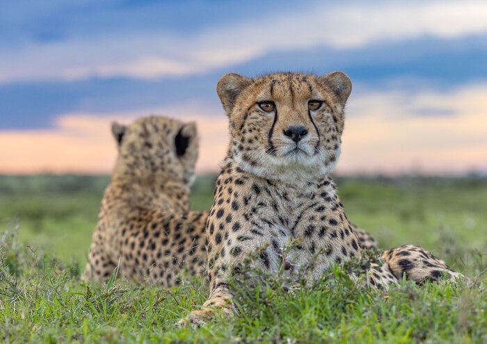 Обзор во все стороны