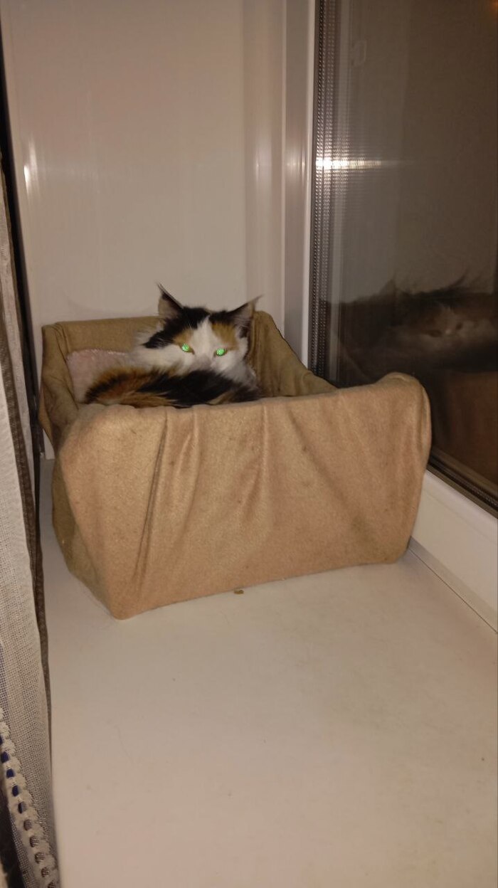 ������� �������