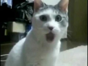  "" , , 