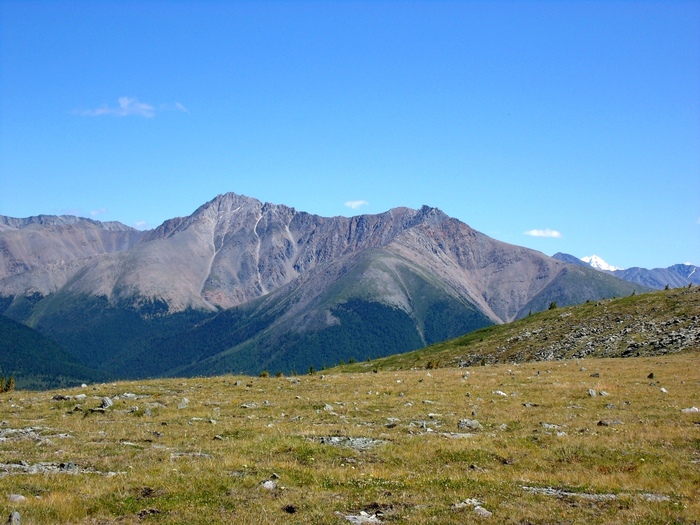 Свобода и совершенство