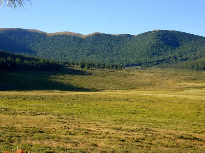 Простор, чтобы разгулялась душа