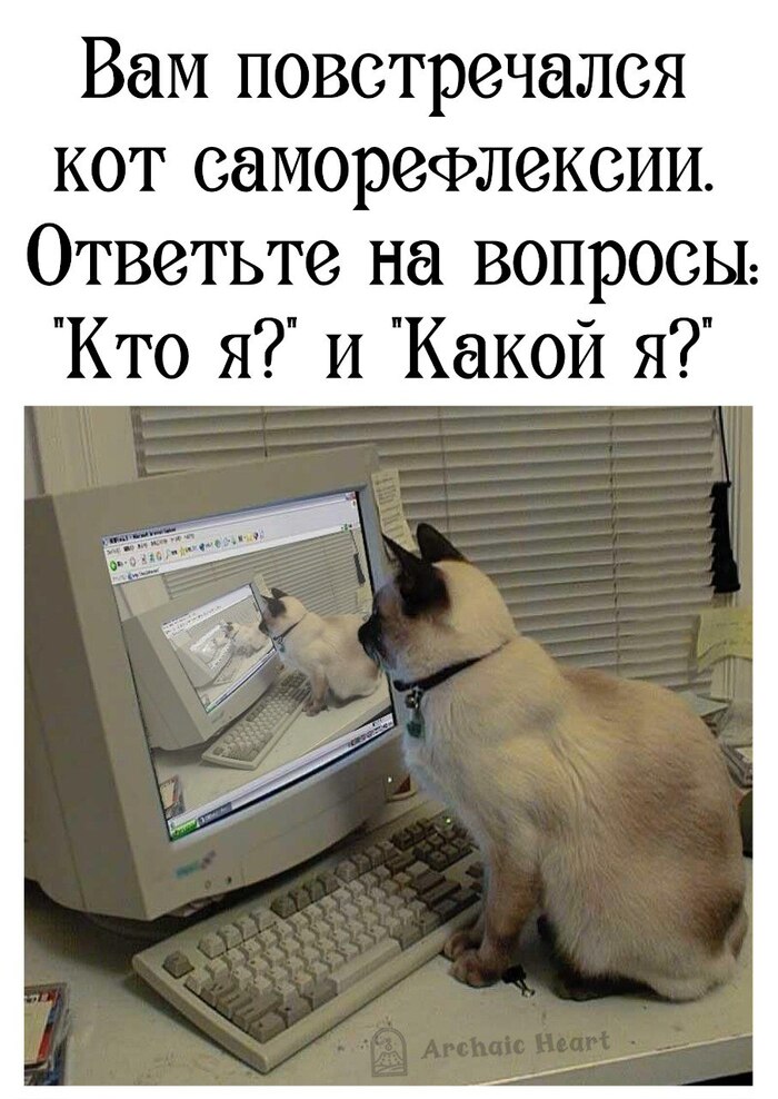   , , ,   , , , , , , ,  