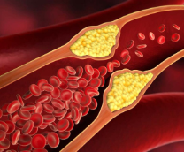 ����������. ������������. ������������. �������.