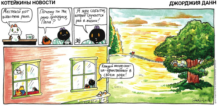 Котейкины Новости от 13.04.2025