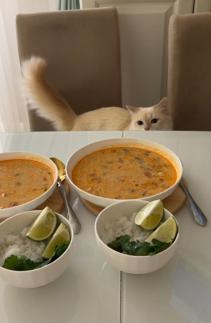       ,  , , ,  , , ,  , 