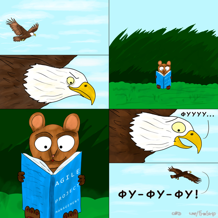    , , , , IT , Agile