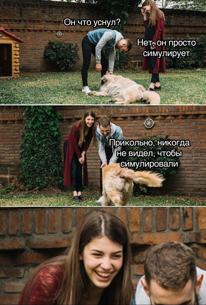   , ,   , ,   , 
