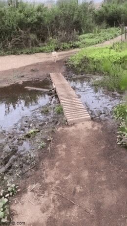   , , , 