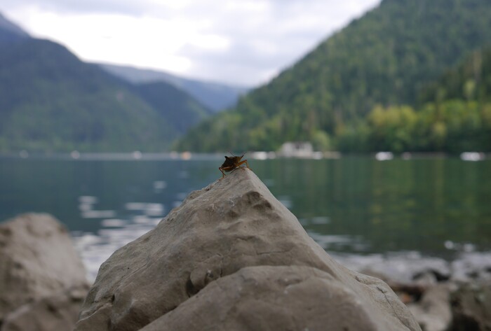 ���� ����