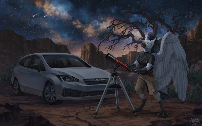 Stargazing