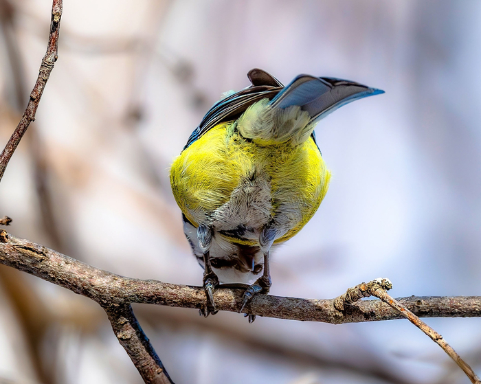  .     ,      ,       .        ,   . 