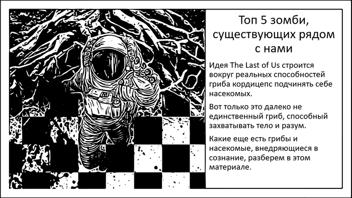 -5 ,     .  The Last of Us    , , , , , The Last of Us, 