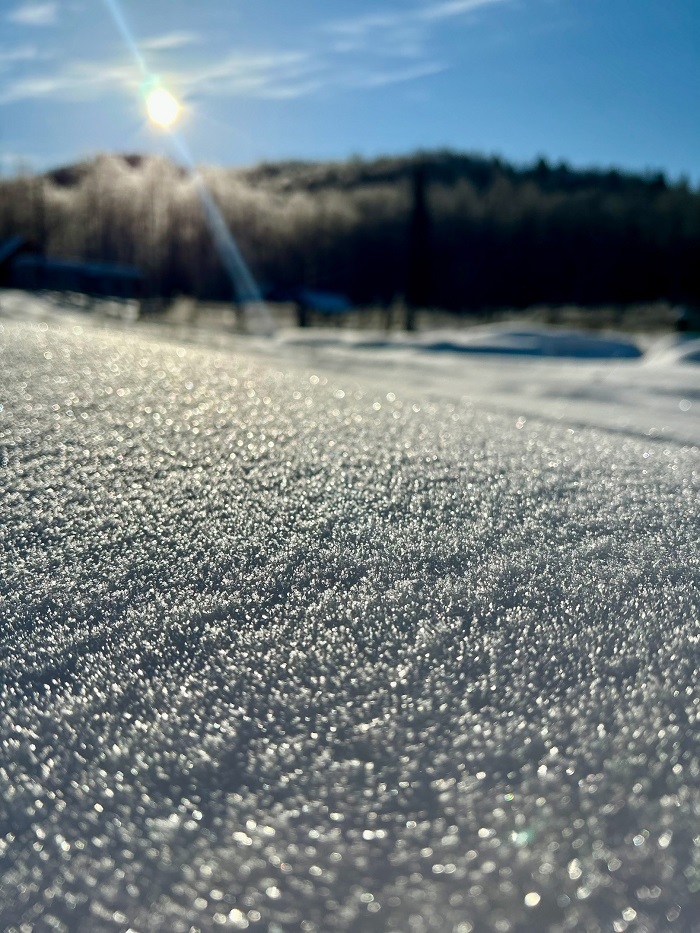 Южно-Уральский государственный природный заповедник. Фото: Айгуль Ибрагимова