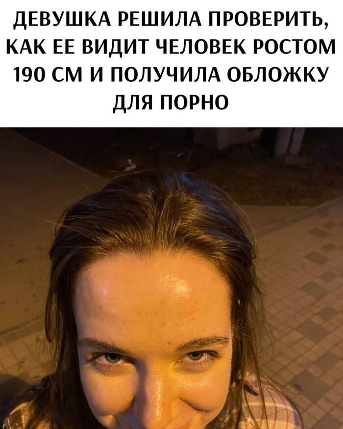    ,   , ,  , , Telegram ()