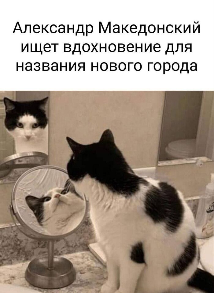    , ,   , ,  , 