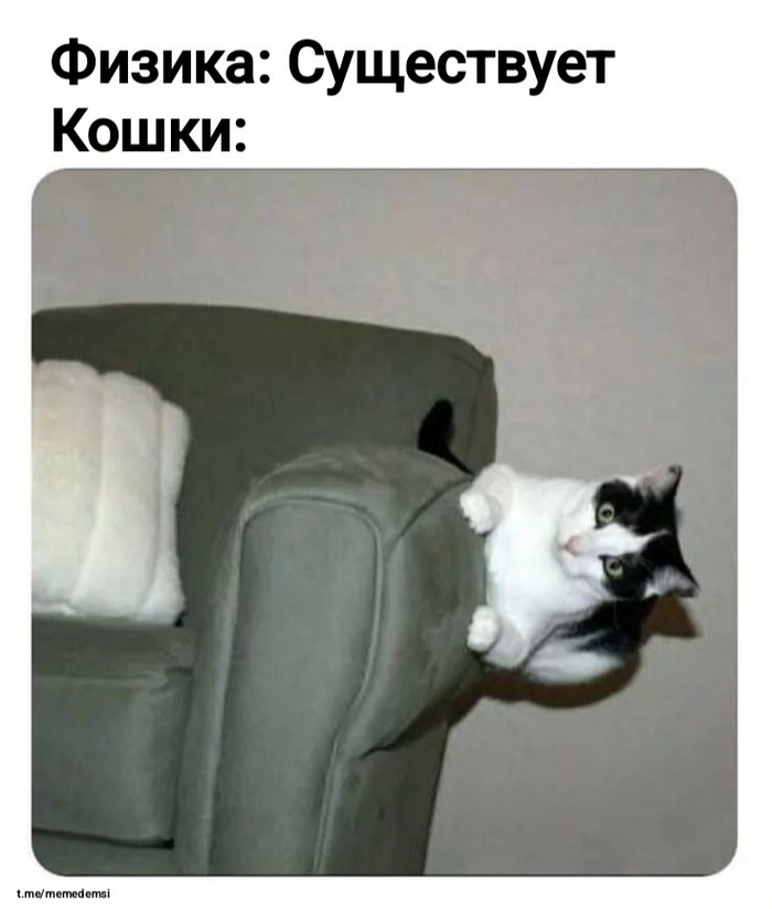   ,   , , , , ,  , , Telegram ()