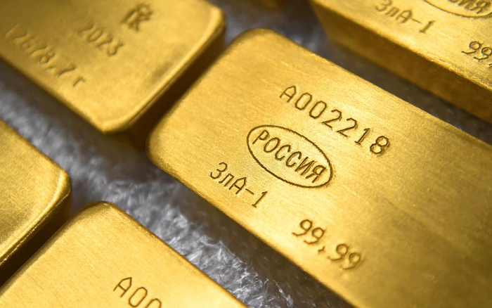 Полюс в 2025: Золото на $2500, а акции — в пропасть? Куда исчезают 15% добычи и ваши дивиденды