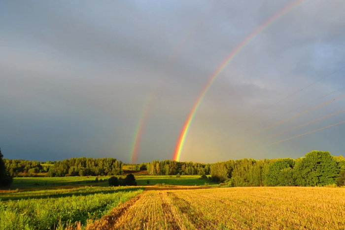 Rainbow