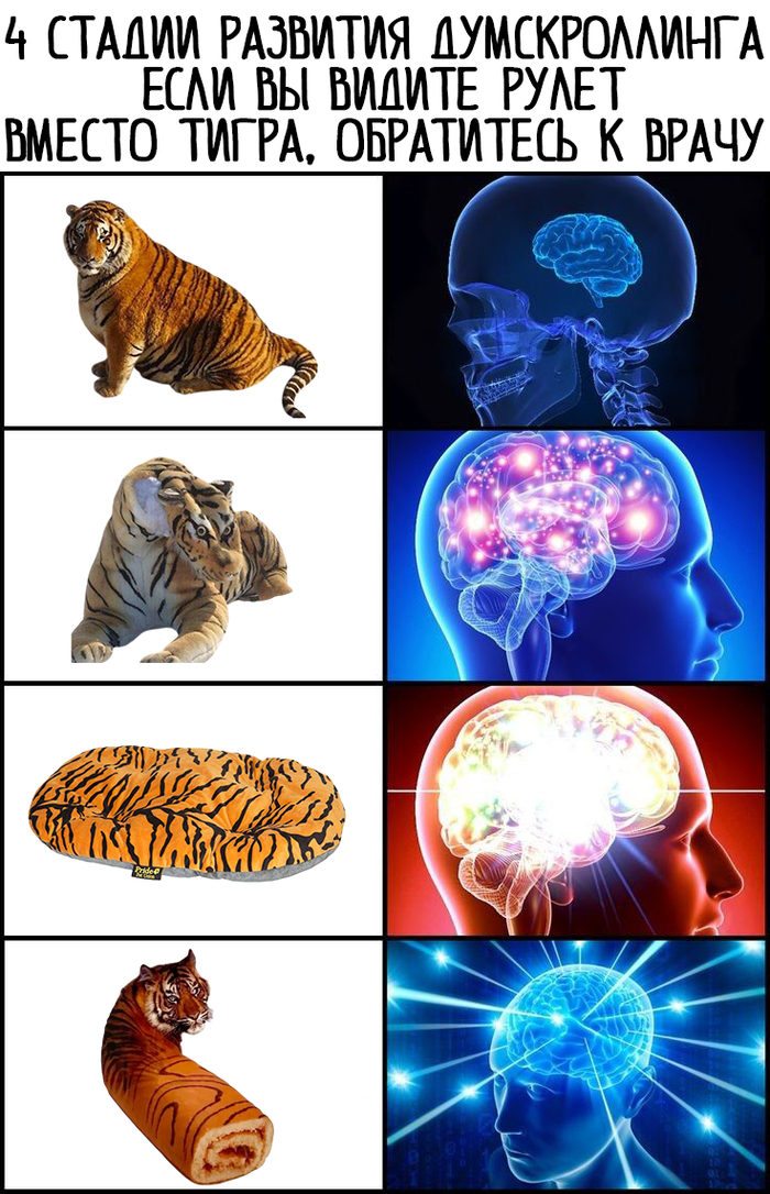 �������� �������������