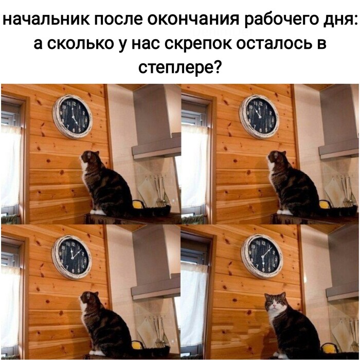    , , , , ,   , , , 