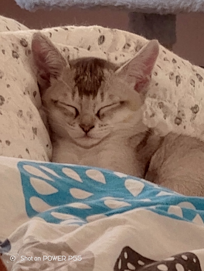   , , , ,  