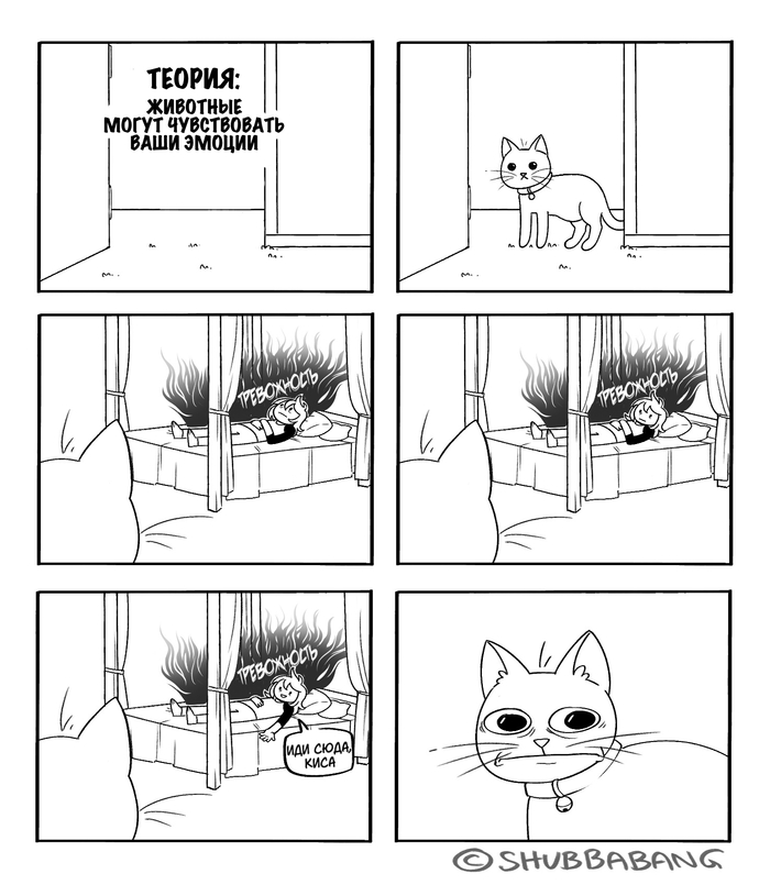  , , ,  , , , , Shubbabang