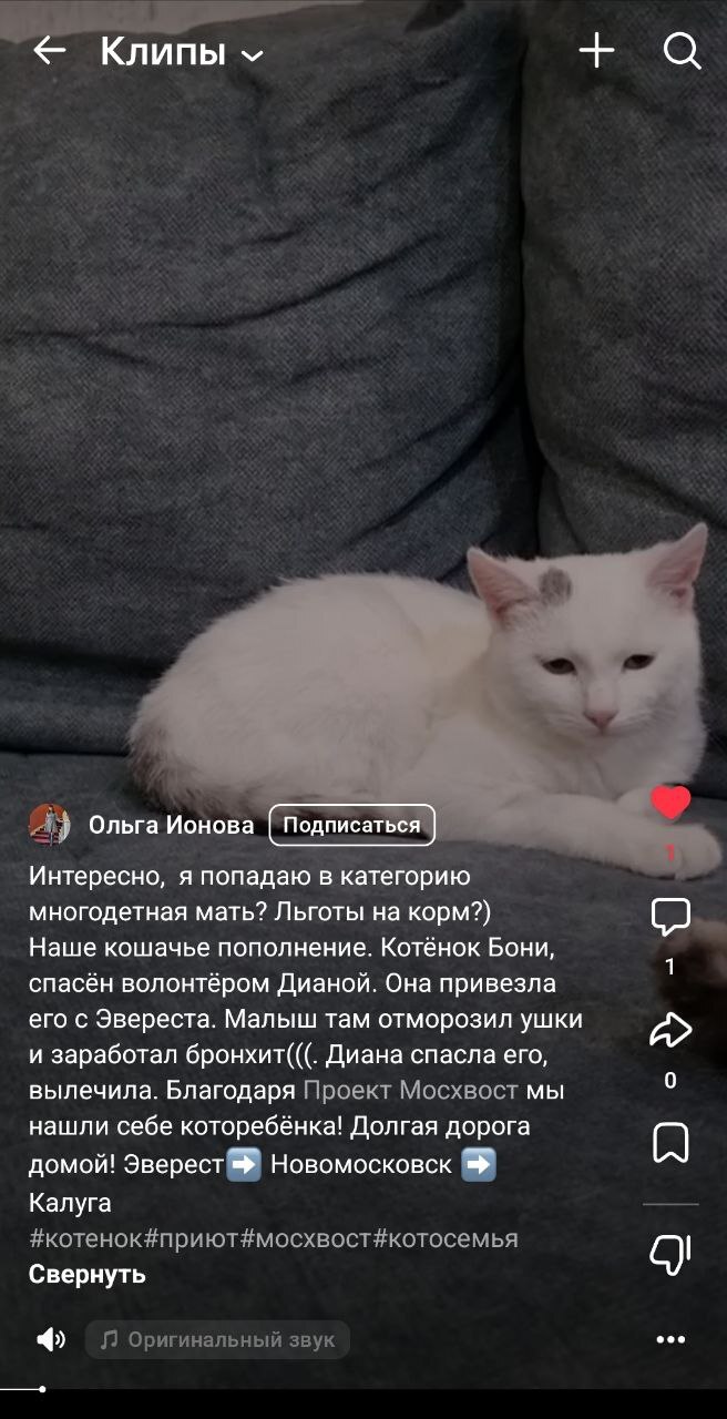    :) , ,   ,  , , ,  , ,  ,  , 