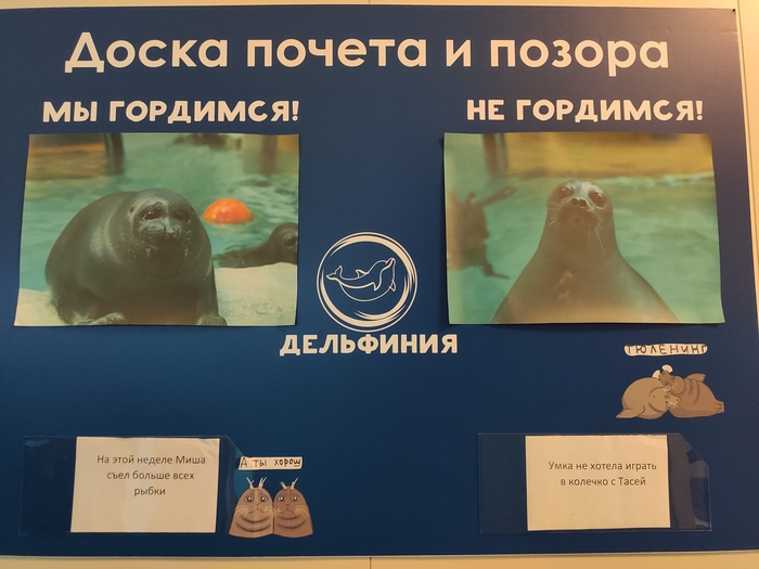       "" , , , , ,   ,  ,  ,  