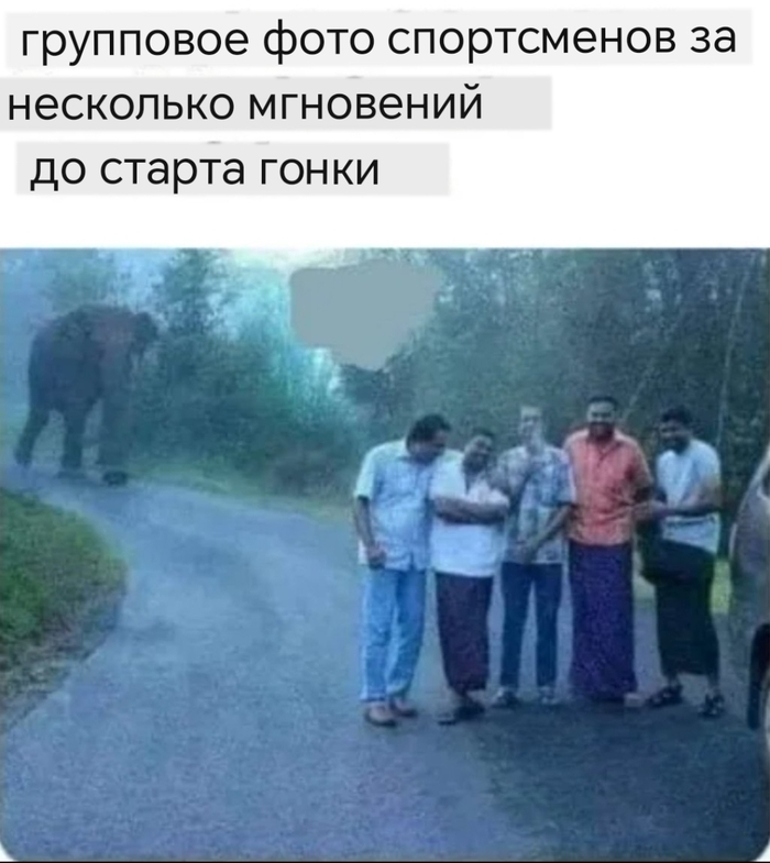  , ,   , Telegram (), , , 