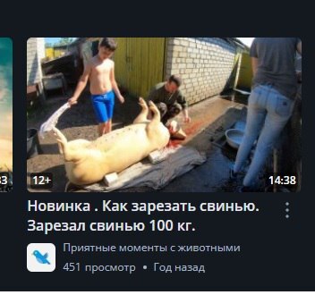 "Предложка" Rutube