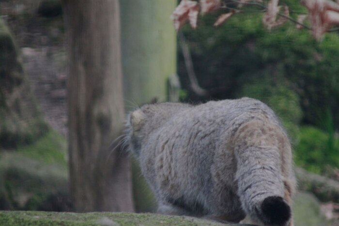 Надоели вы мне, уйду я от вас...