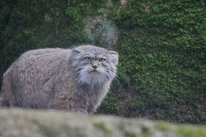 Несёшь чего?