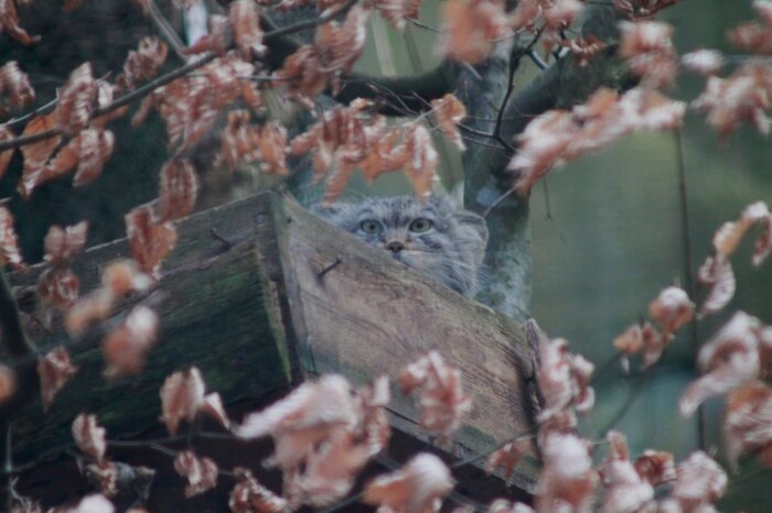 Никуда от вас, фотографов, не денешься!