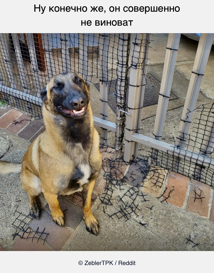 Нет конечно