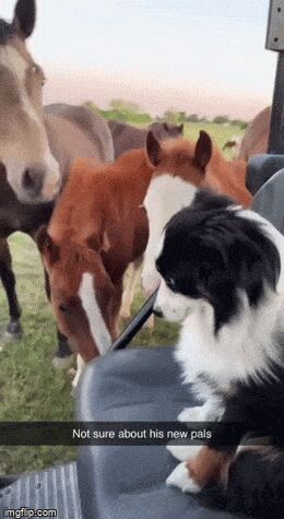   , , , 