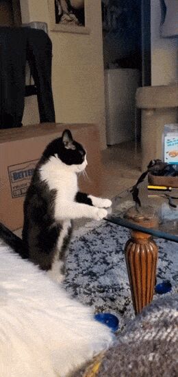   , , , 