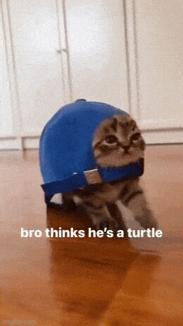   , , , 
