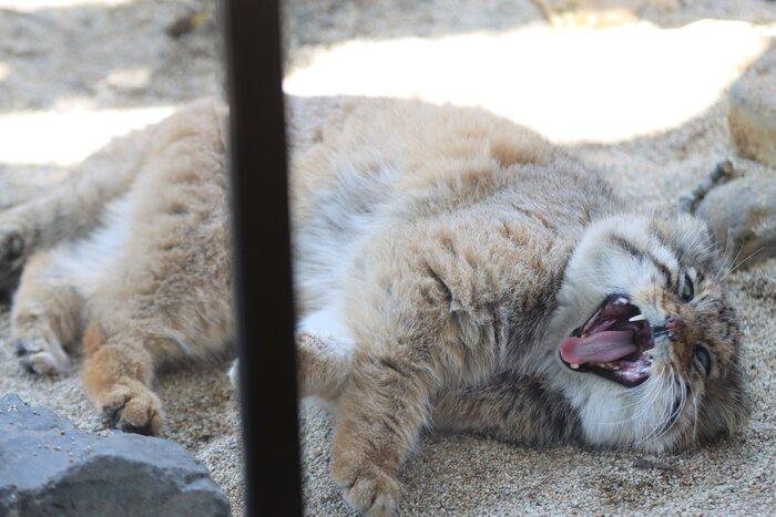 Наотмечался