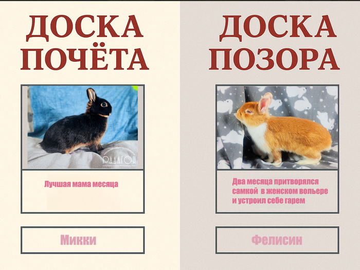       "" , , , , ,  , , ,  ,   ,  