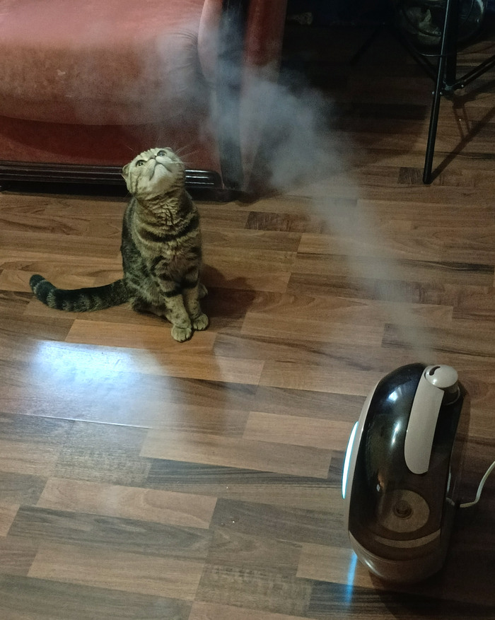  ... , , , ,  ,   ,  