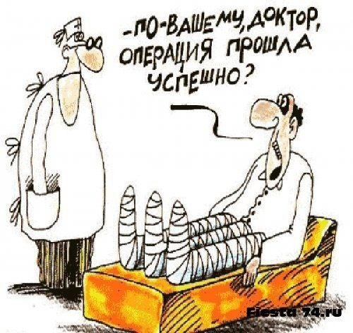   .   , , , , , Telegram (),  ()