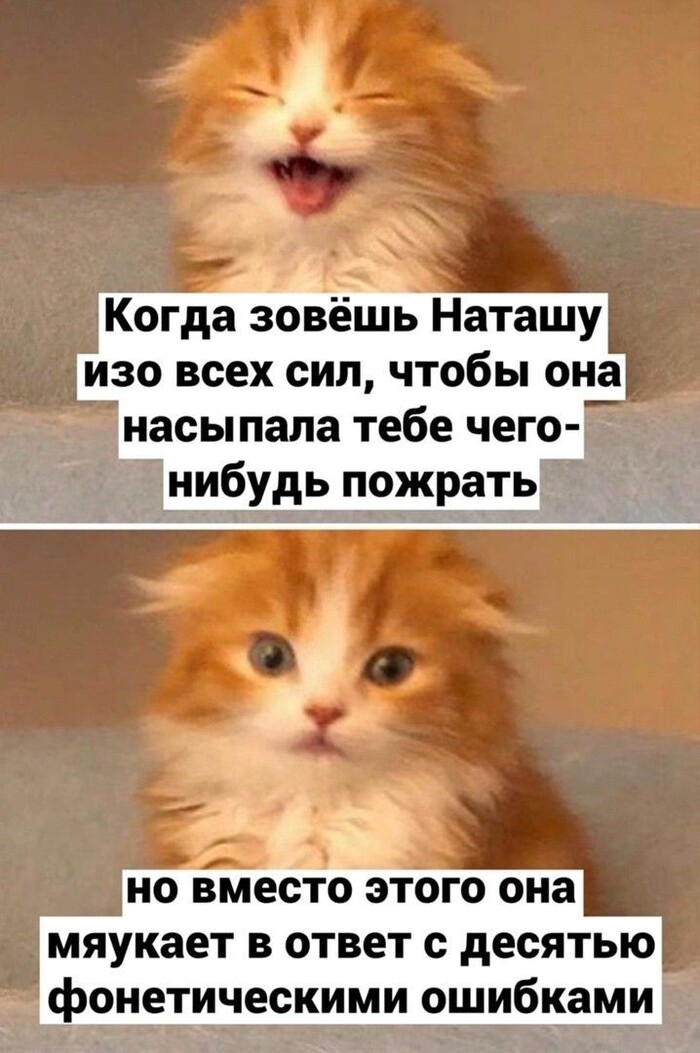  , ,  , , , ,   