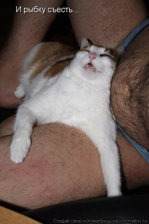   ? , , , , , , 