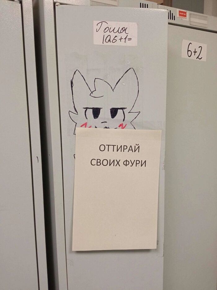 ,! , , , , Animal Ears, , ,  ,  , , IQ, , 