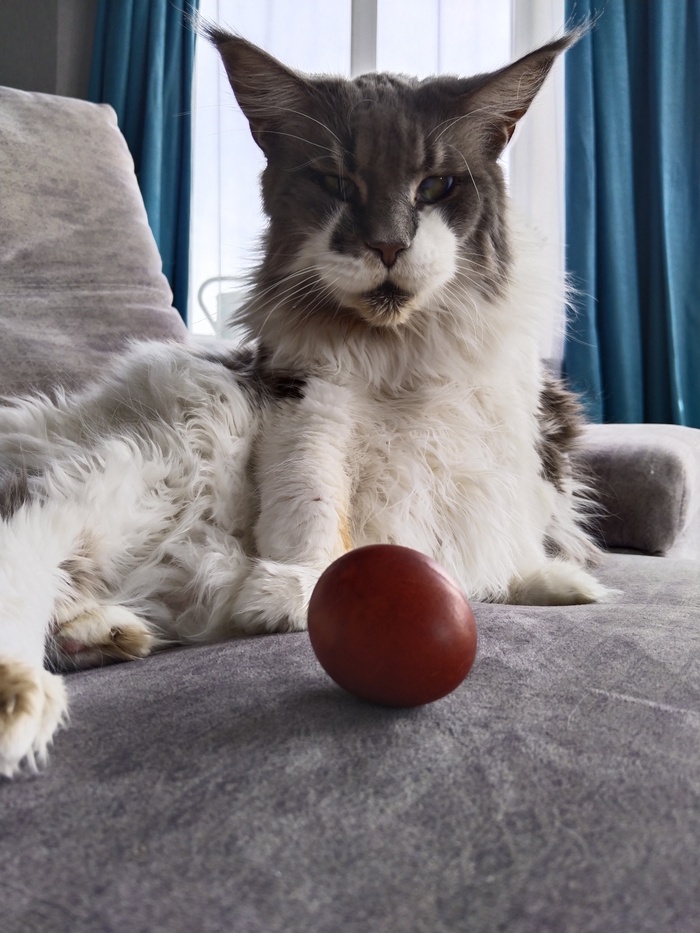 ������ ����� ������?