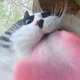 Аватар пользователя KoshachiyTortik